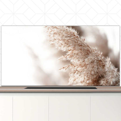 Spatscherm - Pampas gras