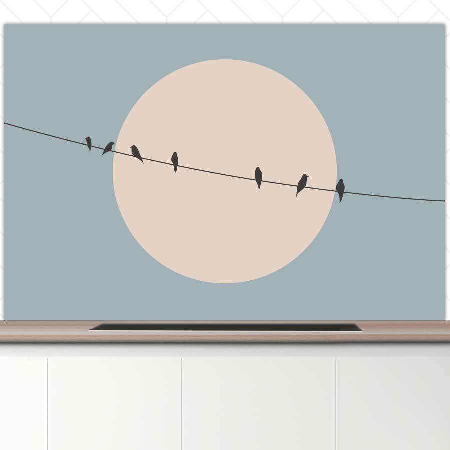 Spatscherm - Vogels op een draad