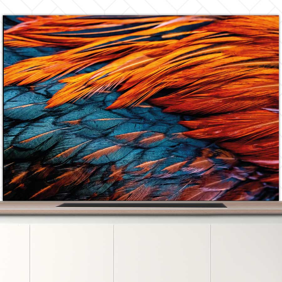 Spatscherm - Hanenveer