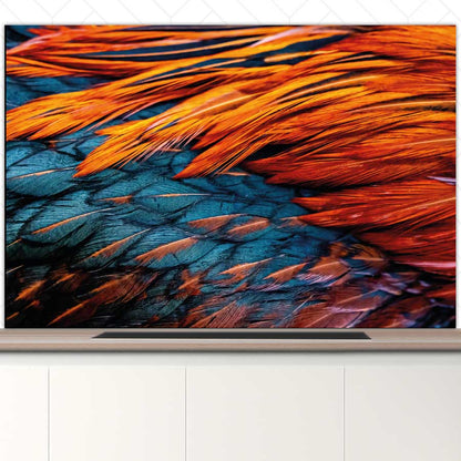 Spatscherm - Hanenveer