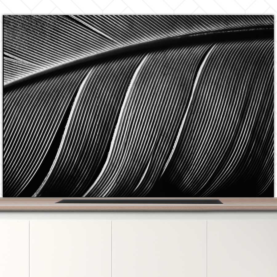 Spatscherm - Vogelveer