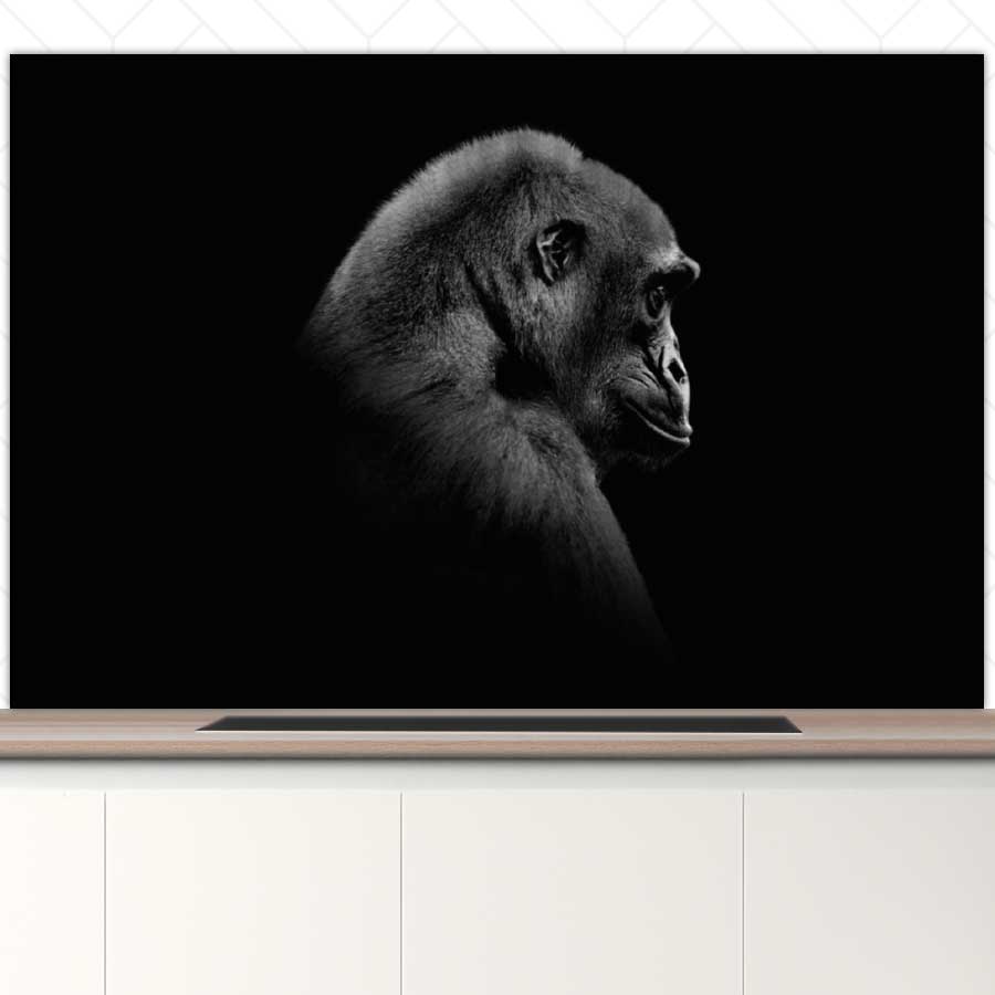 Spatscherm - Gorilla