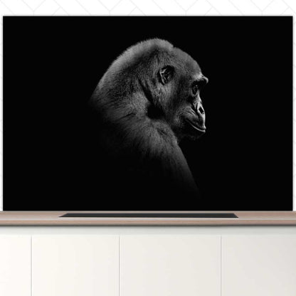 Spatscherm - Gorilla