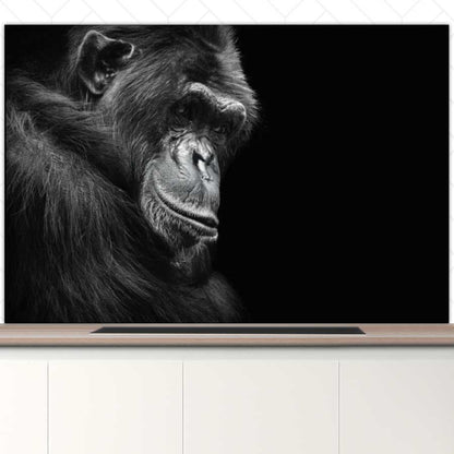 Spatscherm - Chimpansee