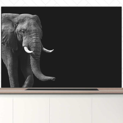 Spatscherm - Afrikaanse olifant