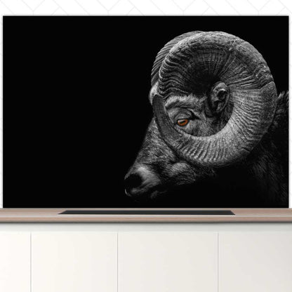 Spatscherm - Ram