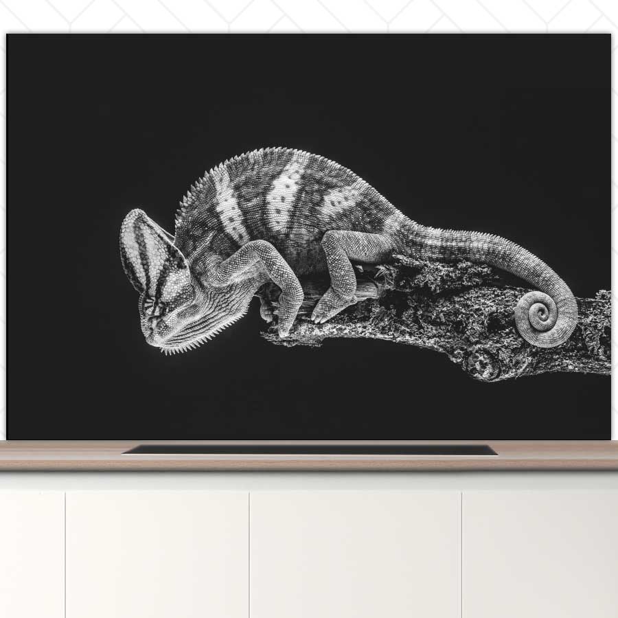 Spatscherm - Kameleon