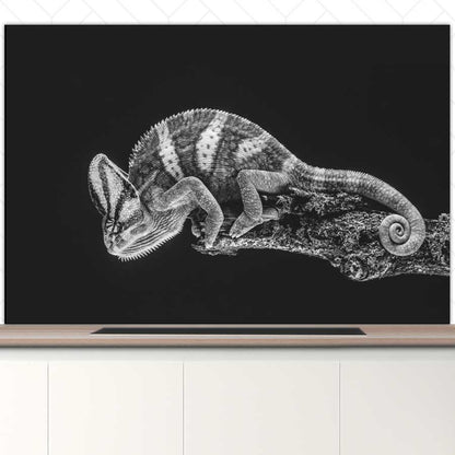 Spatscherm - Kameleon