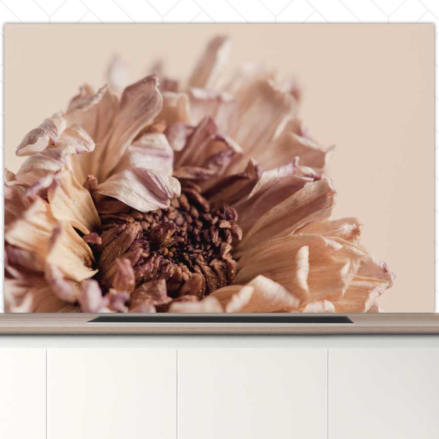 Spatscherm - Gedroogde chrysant