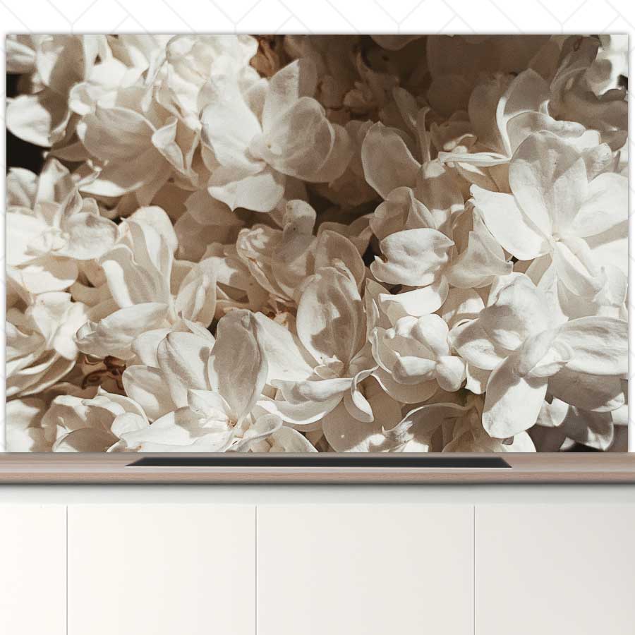 Spatscherm - Witte lila