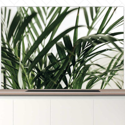 Spatscherm - Palm bladeren