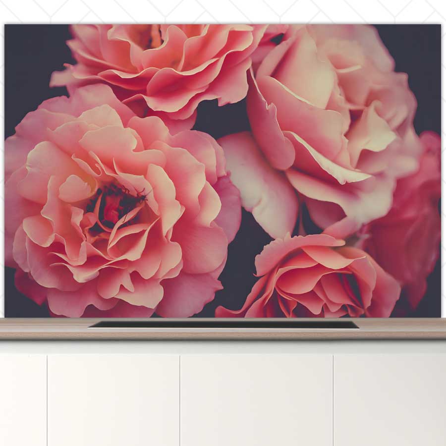 Spatscherm - Rozen close-up