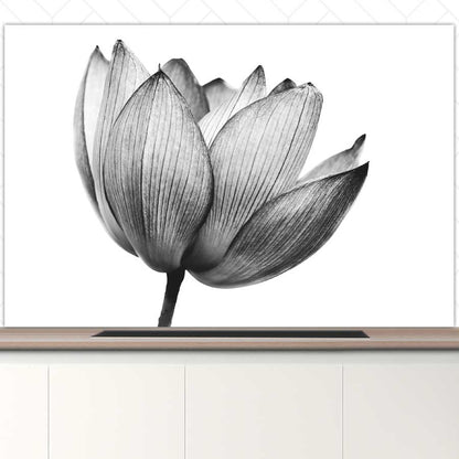 Spatscherm - Lotus in zwart-wit