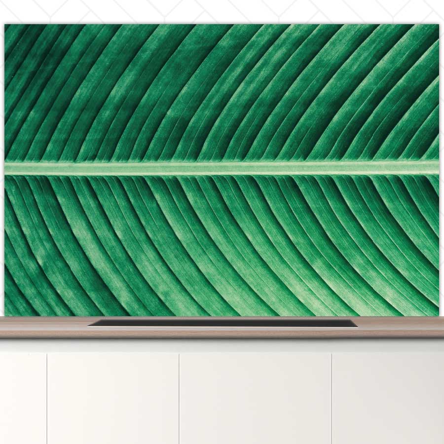 Spatscherm - Groen blad