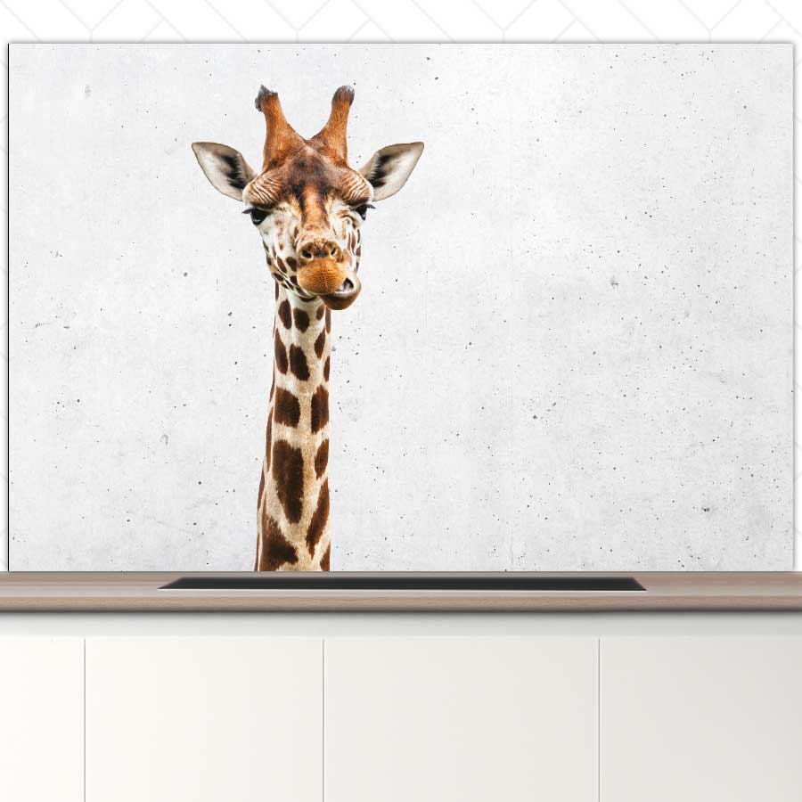 Spatscherm - Funny giraf beton