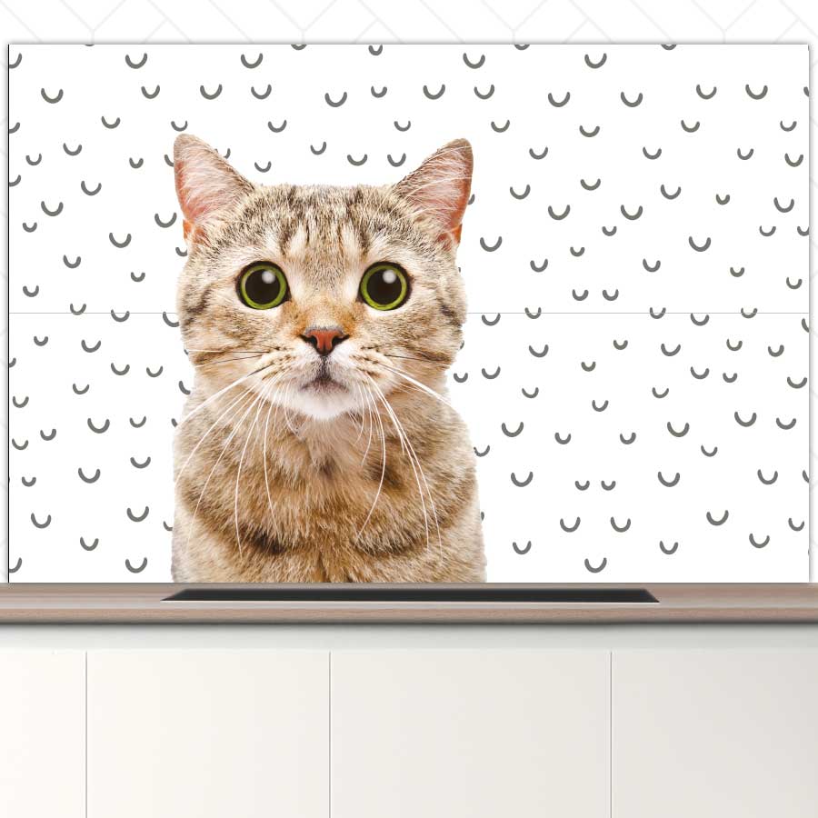 Spatscherm - Funny kat fugler