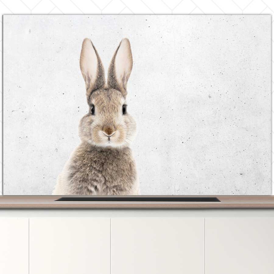 Spatscherm - Funny konijn beton