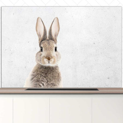 Spatscherm - Funny konijn beton