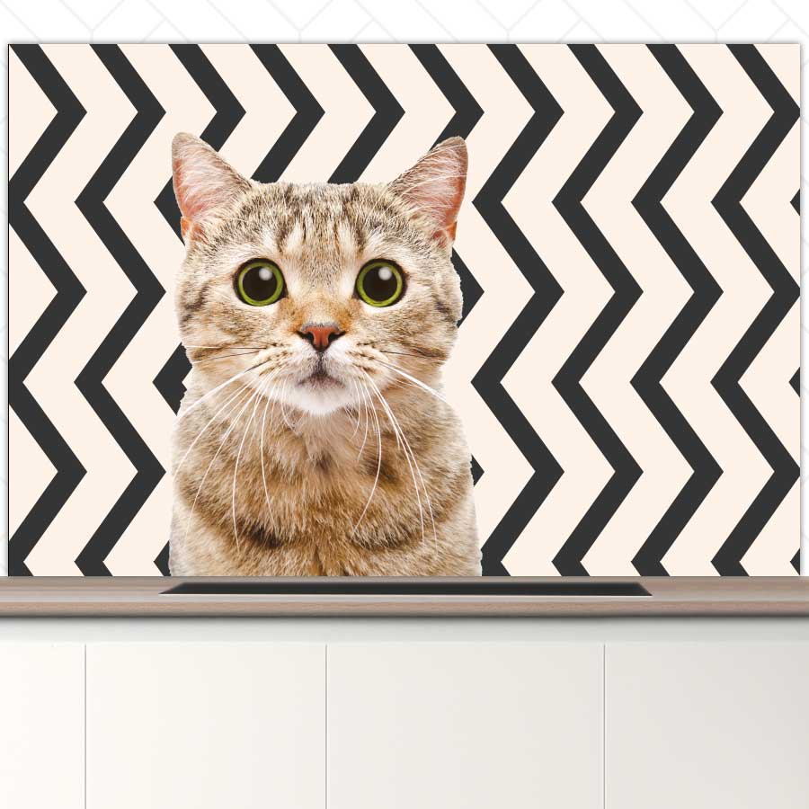 Spatscherm - Funny kat zigzag