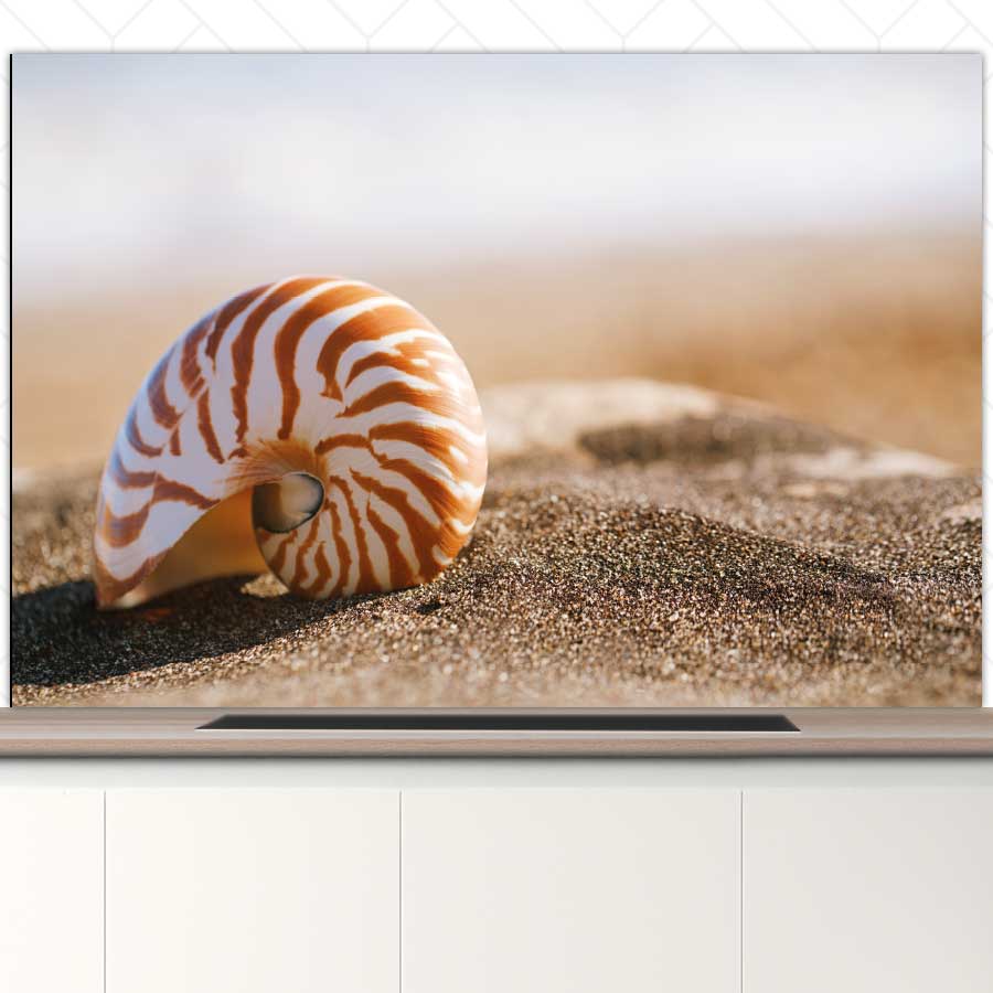 Spatscherm - Zeeschelp