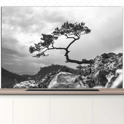 Spatscherm - Overhangende boom