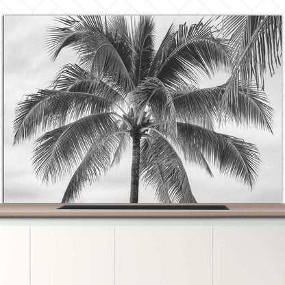 Spatscherm - Palmboom