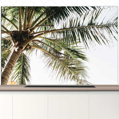 Spatscherm - Palmstrand