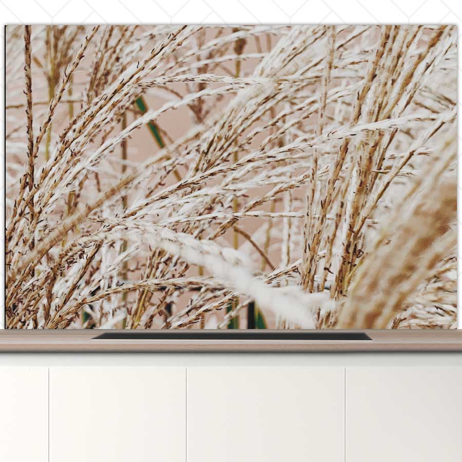 Spatscherm - Droge rietstengels