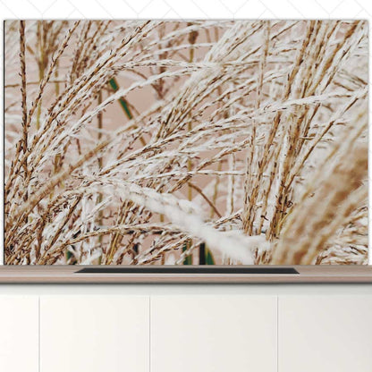 Spatscherm - Droge rietstengels