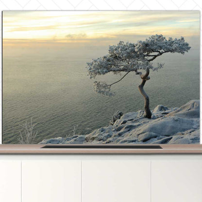 Spatscherm - Winterboom