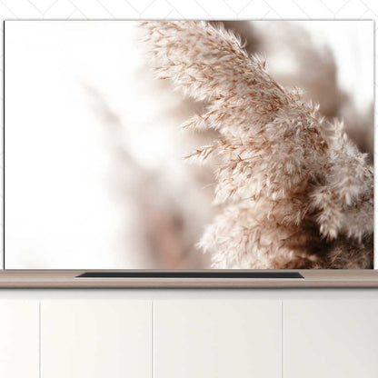 Spatscherm - Pampas gras