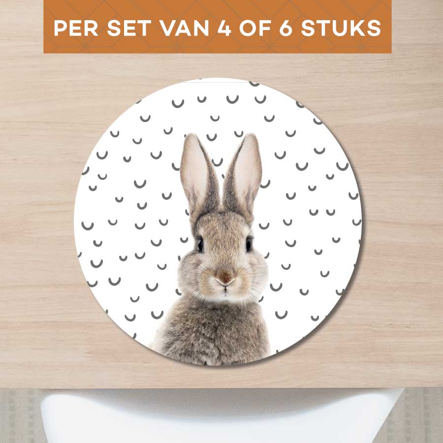 Placemat - Funny konijn fugler