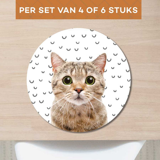 Placemat - Funny kat fugler