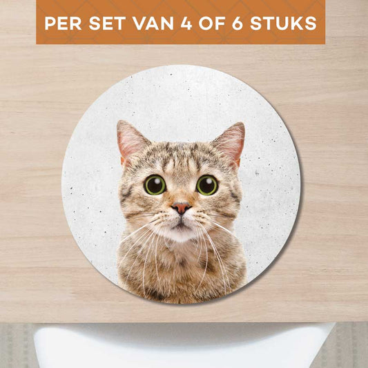 Placemat - Funny kat beton