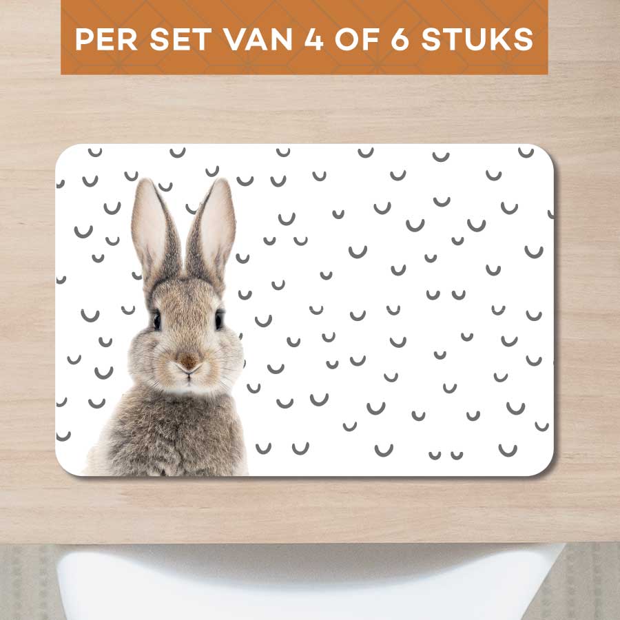 Placemat - Funny konijn fugler
