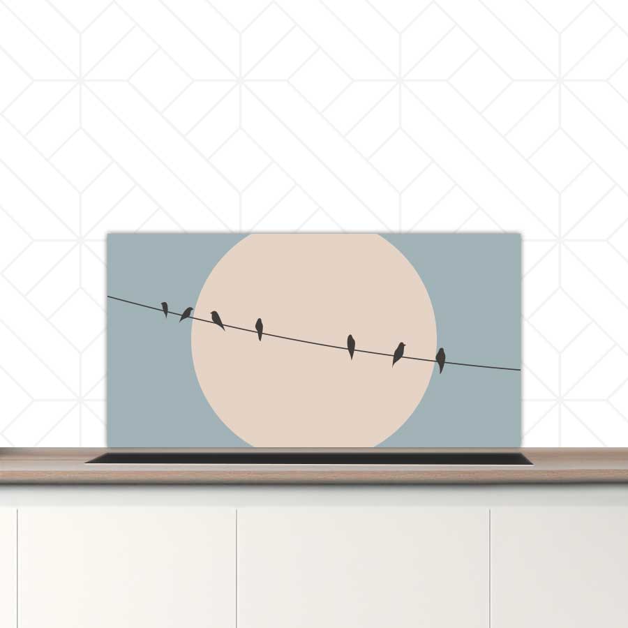 Spatscherm - Vogels op een draad