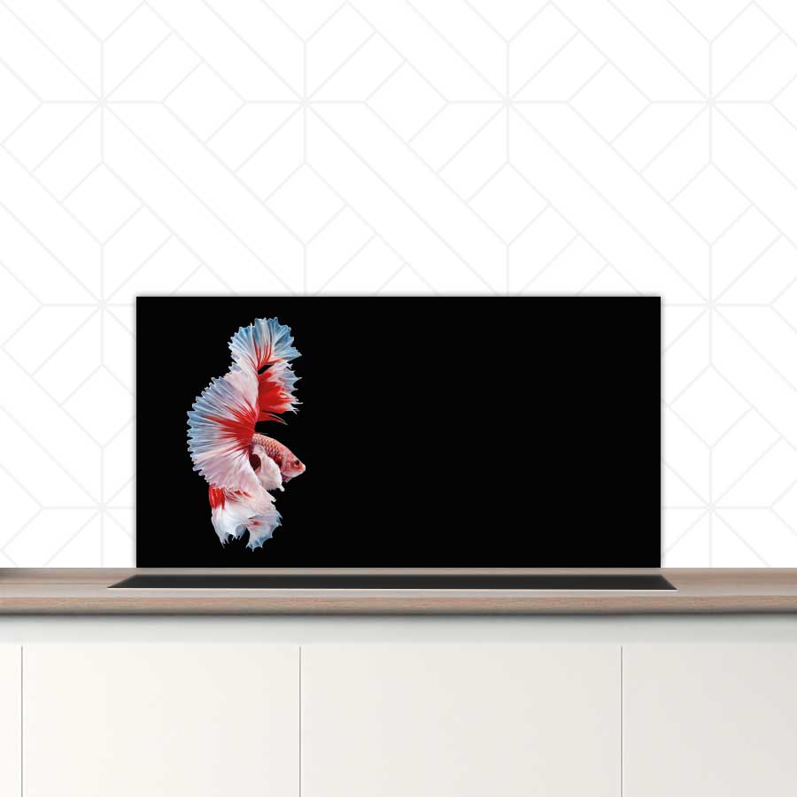 Spatscherm - Betta vis