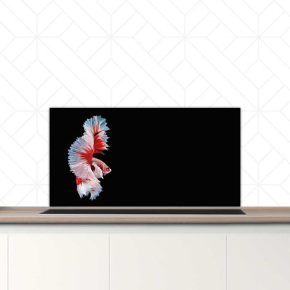 Spatscherm - Betta vis