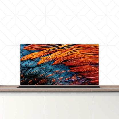 Spatscherm - Hanenveer