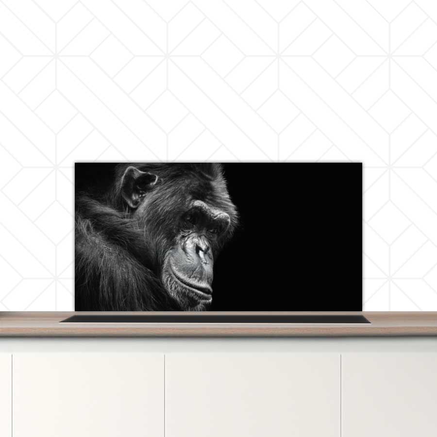 Spatscherm - Chimpansee
