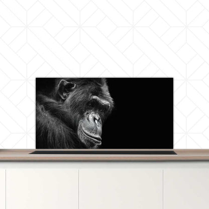 Spatscherm - Chimpansee
