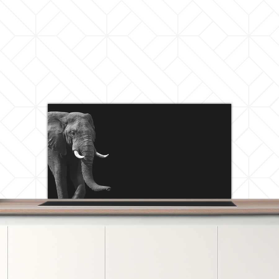 Spatscherm - Afrikaanse olifant