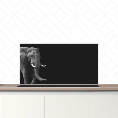 Spatscherm - Afrikaanse olifant