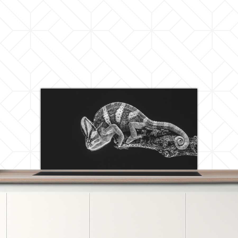 Spatscherm - Kameleon