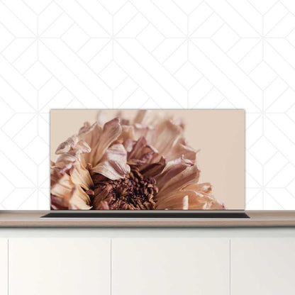 Spatscherm - Gedroogde chrysant