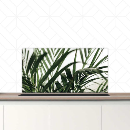 Spatscherm - Palm bladeren