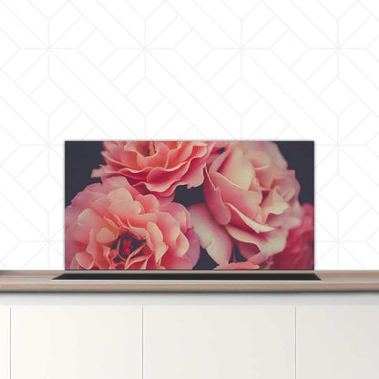 Spatscherm - Rozen close-up