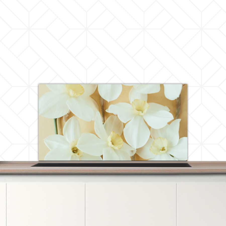 Spatscherm - Narcissen