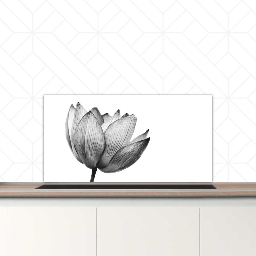 Spatscherm - Lotus in zwart-wit