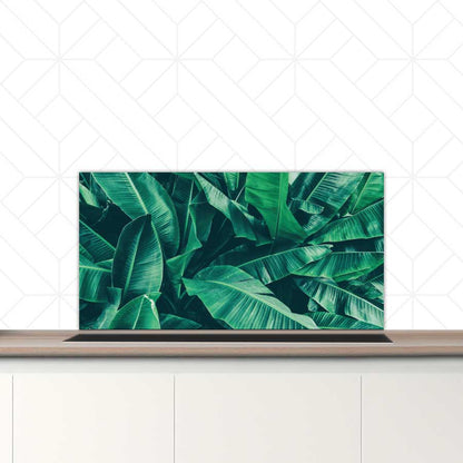 Spatscherm - Tropische bladeren